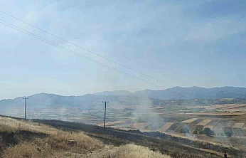 Elazığ'da Yangın 40 Dönümlük Arpa Tarlasını Kül Etti