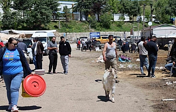 Elazığ Hayvan Pazarında Hareketlilik Sürüyor