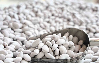 Elazığ'ın Meşhur Lezzeti: Badem Şekeri