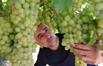 Elazığ'ın Tescilli Lezzeti Türkiye'ye Açılmaya Hazırlanıyor