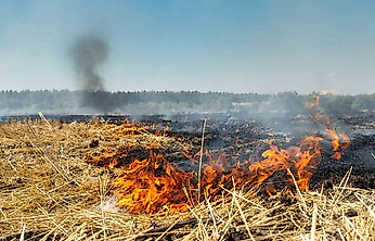 Fırat EDAŞ'tan Anız Yangınlarına Karşı Önemli Uyarı
