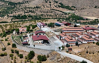 Geçici Bakımevi 15 Bin Sokak Hayvanını Sağlığına Kavuşturdu