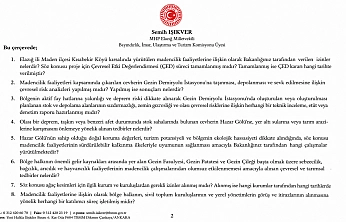 Işıkver, Madenciliğin Çevresel Etkilerini Meclis Gündemine Taşıdı
