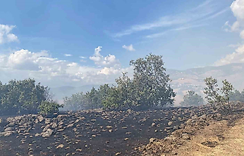 Karakoçan'da Yangın Kontrol Altına Alındı