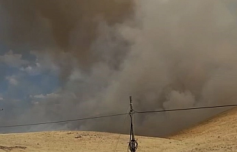 Karakoçan'da Örtü Yangını