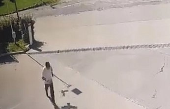Karganın Kovaladığı Kuşun Zor Anları Kamerada