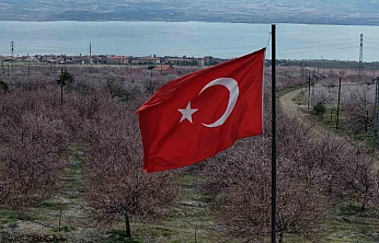 Kayısı Ağaçları Çiçek Açtı, Görsel Şölen Oluştu