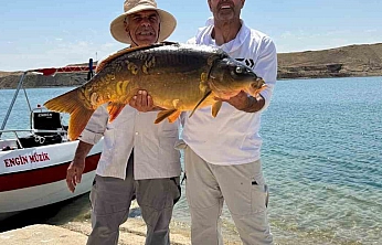 Keban Baraj Gölü'nde Rekor Sazan: Tam 27 Kilo