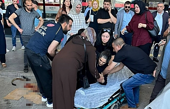 Köpek Saldırısında Bir Kadın Yaralandı
