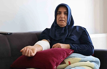 Köpek Dehşetini Yaşayan Kadın Yaşadıklarını Anlattı