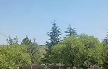 Harput'ta Dağ Keçileri Objektiflere Takıldı