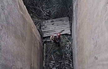 Dağ Keçisi İçin Seferberlik: Özel Kurtarma Operasyonu Düzenlendi
