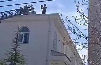 Kovancılar'da Mahsur Kalan Kediye Ekipler Yetişti