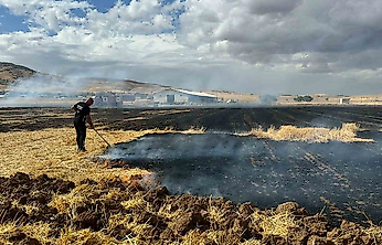 Kovancılar'da Anızlar Alevlere Teslim Oldu