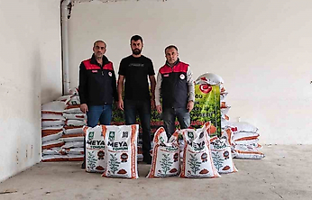 Palu'da Çiftçilere Yüzde 70 Hibeli Mercimek Tohumu Dağıtıldı