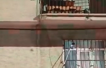 Penceredeki Yılan Paniğe Neden Oldu
