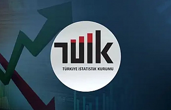 TÜİK 2025 Aile İstatistikleri Açıklandı: Elazığ 'Tek Ebeveynli Aile' Oranında Zirveyi Zorluyor