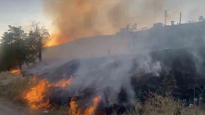 Elazığ'da Otluk Alan Yangını Kontrol Altına Alındı