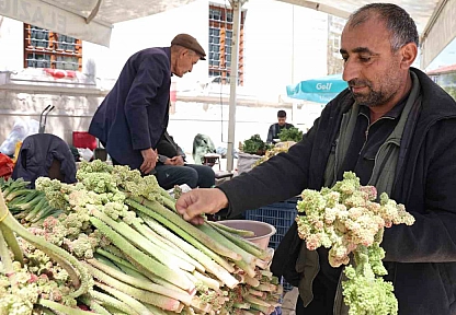 Doğu'nun Şifalı Bitkisi Işkın Tezgahlarda