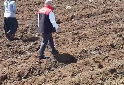 Elazığ'da Domates Üreticileri Yeni Sezona Başladı