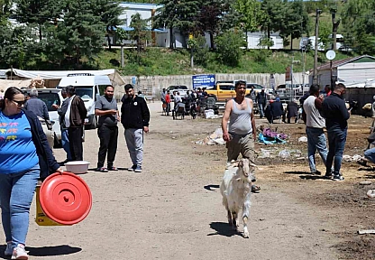 Elazığ Hayvan Pazarında Hareketlilik Sürüyor