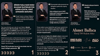 Ballıca: 'Birden Fazla NACE Kodu Bulunan İşletmeler İçin Kriter Açık: Vergi Levhasına Bakılmalı'