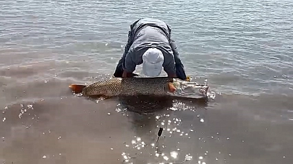Elazığ'da Amatör Balıkçılardan 65 Kiloluk Dev Turna