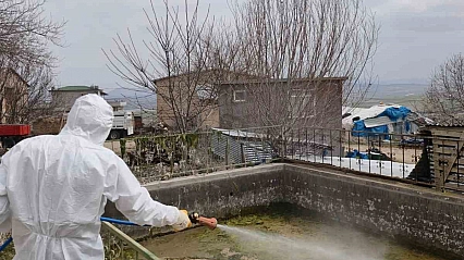 Elazığ'da Haşereyle Mücadele Başladı