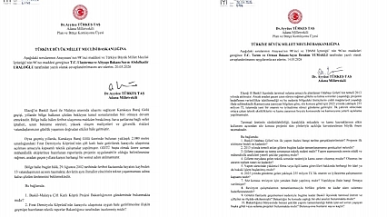 İYİ Parti Milletvekili Ayyüce Türkeş Taş, Baskil-Malatya Ulaşım Sorununu TBMM Gündemine Taşıdı