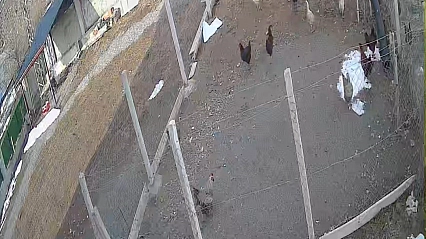 Tilki Kümese Girdi, Tavuğu Götürdü