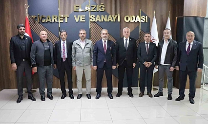 Başkan Alan, Karakoçan'ın Gündemini Vali Hatipoğlu'na Taşıdı