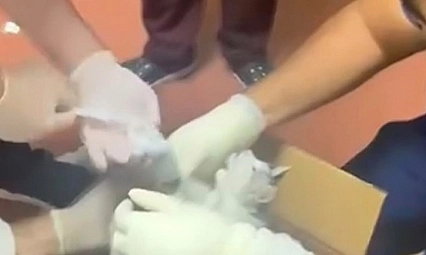 Sağlık Ekipleri Bu Kez Bir Kedinin İmdadına Yetişti