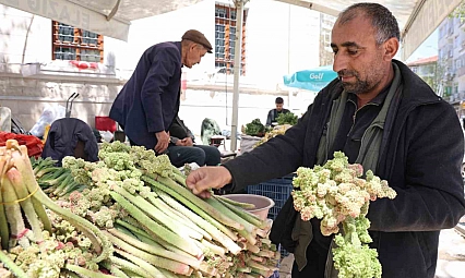 Doğu'nun Şifalı Bitkisi Işkın Tezgahlarda