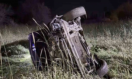 Domuza Çarpan Otomobil Şarampole Uçtu: 5 Yaralı