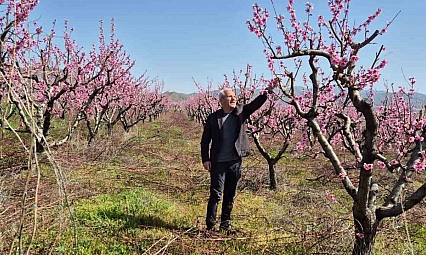 Elazığ'da Meyve Bahçelerinde Zararlılarla Mücadele Başladı