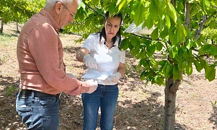 Elazığ'da Meyve Bahçelerinde Zararlılara Karşı Yakın Takip