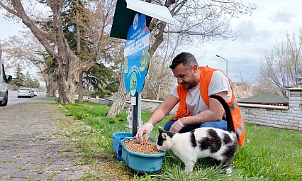 Elazığ'da Sokak Hayvanları Unutulmadı