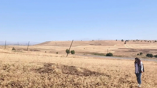Ağın Tüylü Nohudunda Hasat Mesaisi Sürüyor