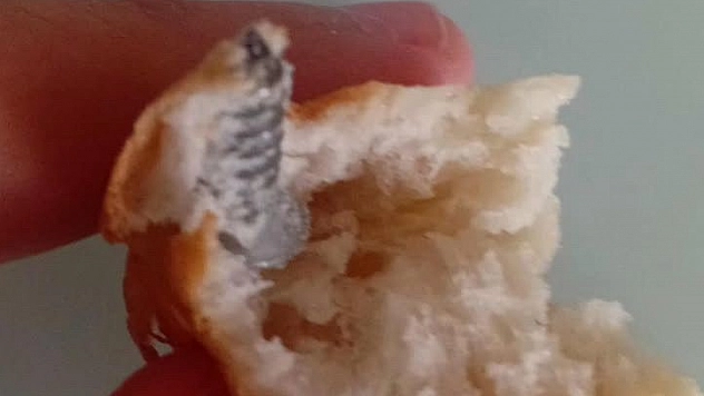 Ekmeğin İçindeki Vida Şaşkına Çevirdi