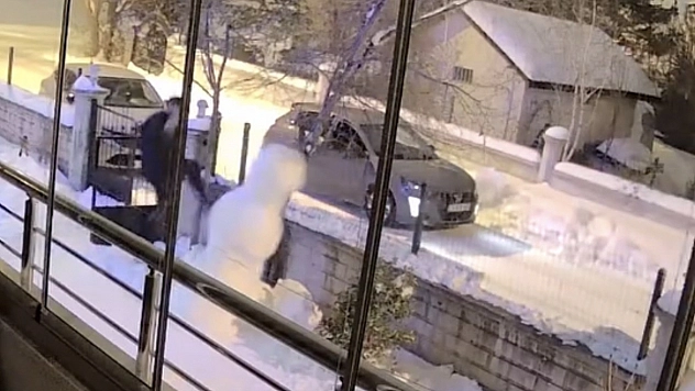 Kardan Adamı Devirip Yoluna Devam Etti