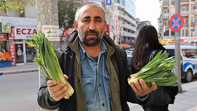 Dağlardan Toplanan Şifa Kaynağı Tezgahlarda