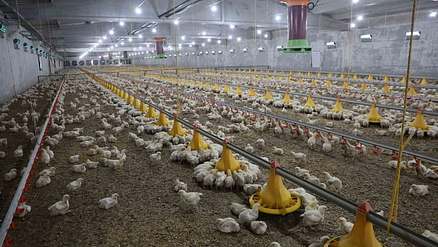 Devlet Desteğiyle İkinci Çiftliğini Kurdu