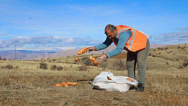 Elazığ'da doğaya yem bırakıldı