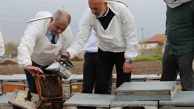 Elazığ'daki arı kovanları üzerinde incelemeler yapıldı.