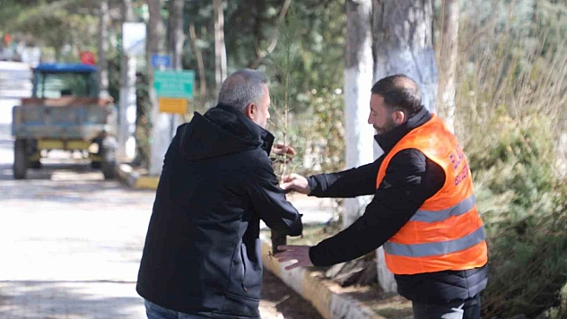 Elazığ Belediyesi'nden vatandaşlara ücretsiz fidan desteği
