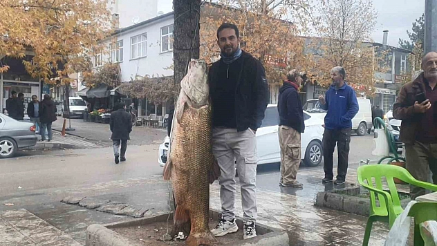 Elazığ'da 60 kilo ağırlığında bir turna balığı yakalandı.