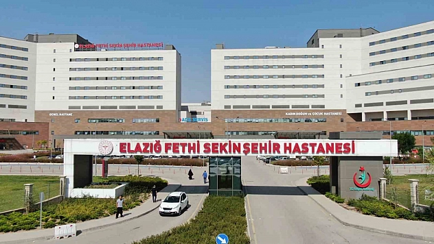 Elazığ'da Kar ve Buz Kazalara Neden Oldu: 645 Yaralı