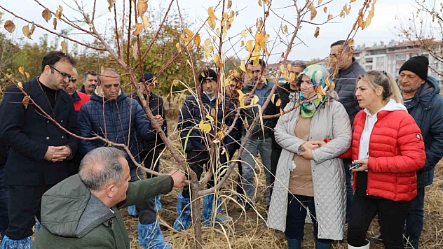 Elazığ'da ağaç budama ve aşılama eğitimi verildi.
