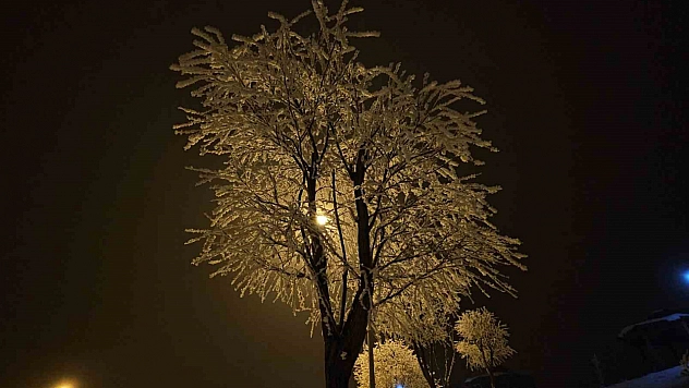Elazığ'da ağaçlar kırağıyla kaplandı.