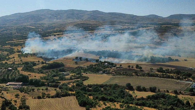 Elazığ'da Anız ve Bahçede Yangın Çıktı